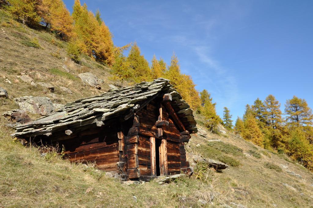 Hotel Hermitage Evolène Kültér fotó